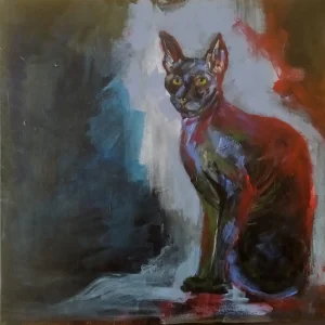The black cat